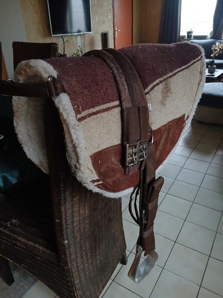 Norton bareback pad, Dieren en Toebehoren, Ophalen