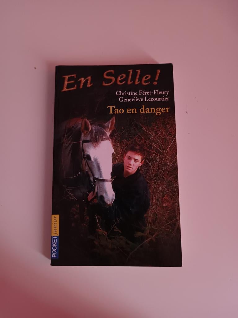 In het zadel! , Deel 6: Tao in gevaar, Christine Féret-Fleur, Boeken, Ophalen of Verzenden, Zo goed als nieuw, Christine Féret-Fleury