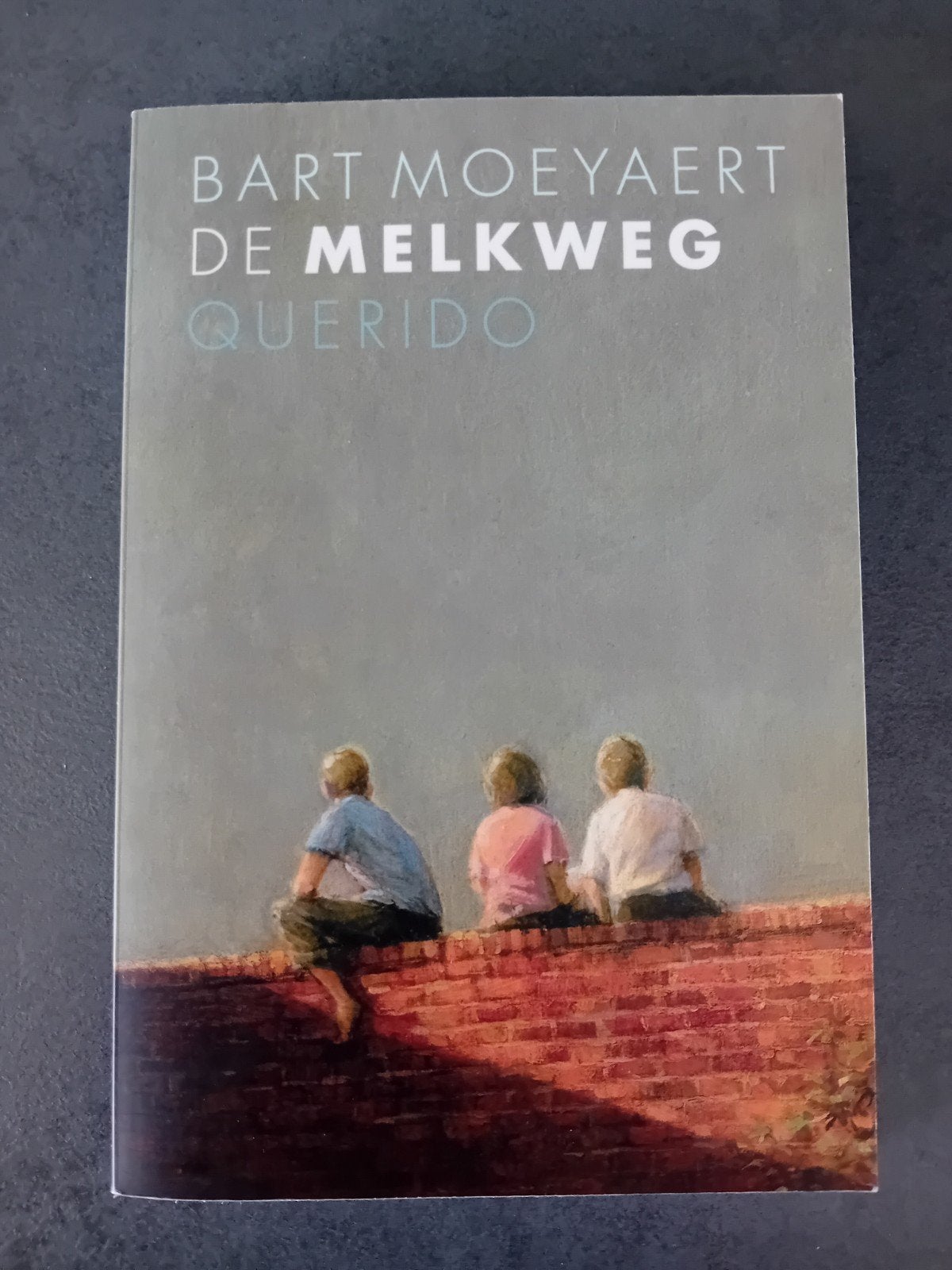 Bart Moeyaert - De Melkweg, Ophalen of Verzenden, Bart Moeyaert