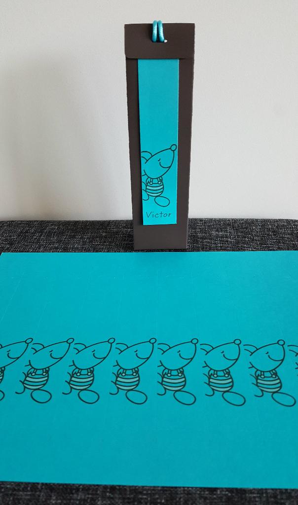 Lang naamkaartje met muisjes fuchsia of turquoise, Kinderen en Baby's, Ophalen, Nieuw, Kraamcadeau