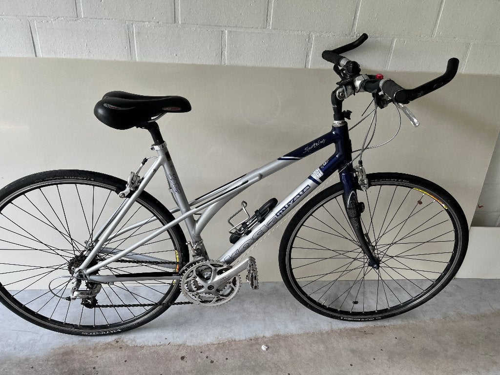 dames fiets, Fietsen en Brommers, Fietsen | Dames | Damesfietsen, 47 tot 50 cm, Ophalen, Gebruikt, Overige merken
