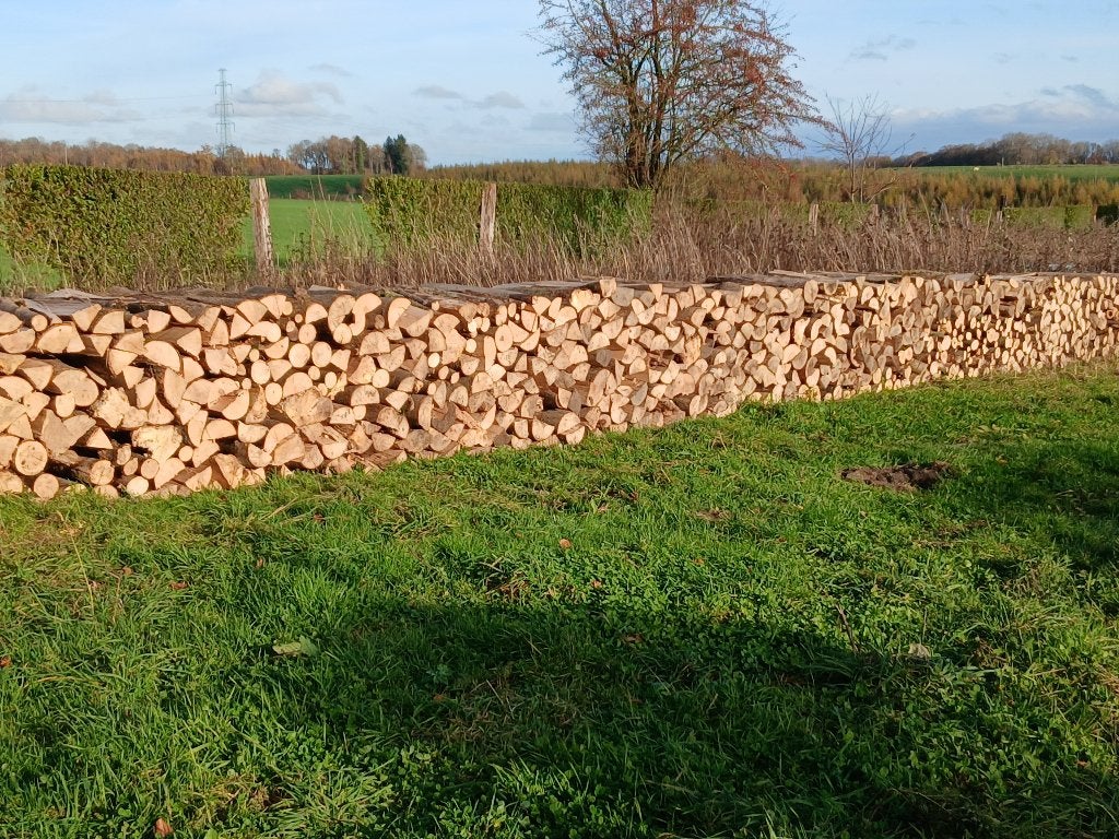 BOIS DE CHAUFFAGE SEC DE QUALITES TOUTE L'ANNEE !!!, Enlèvement, Utilisé, Autres types, Bois dur
