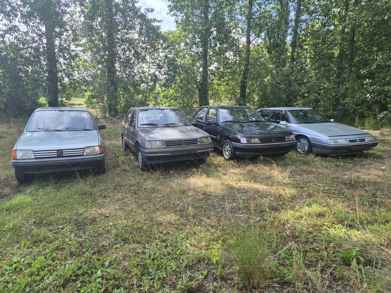 4 Oldtimers samen 5000 euro, Bedrijf, Diesel, Te koop, Peugeot