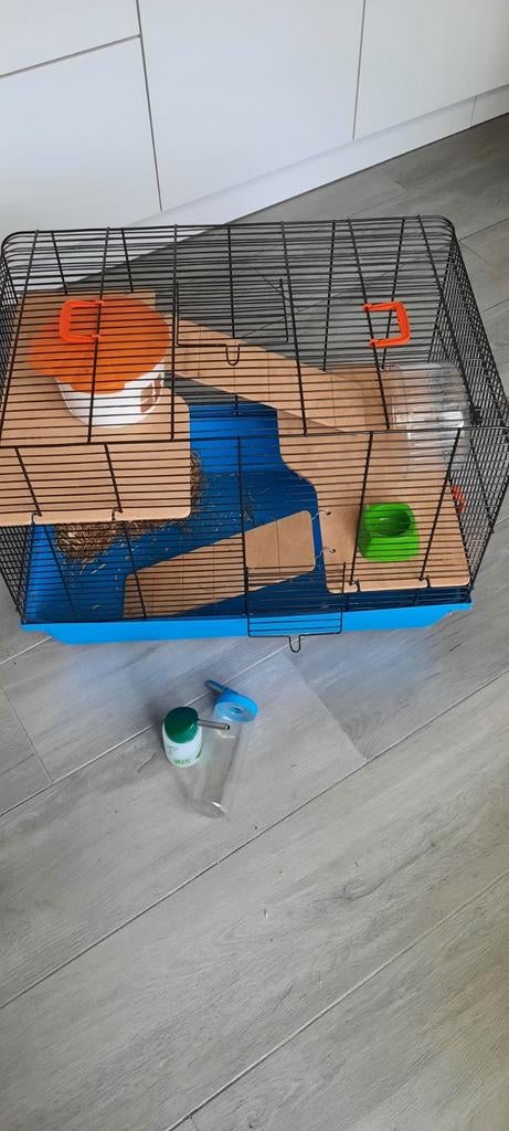 Cage pour hamsters, Enlèvement, Cage, Hamster