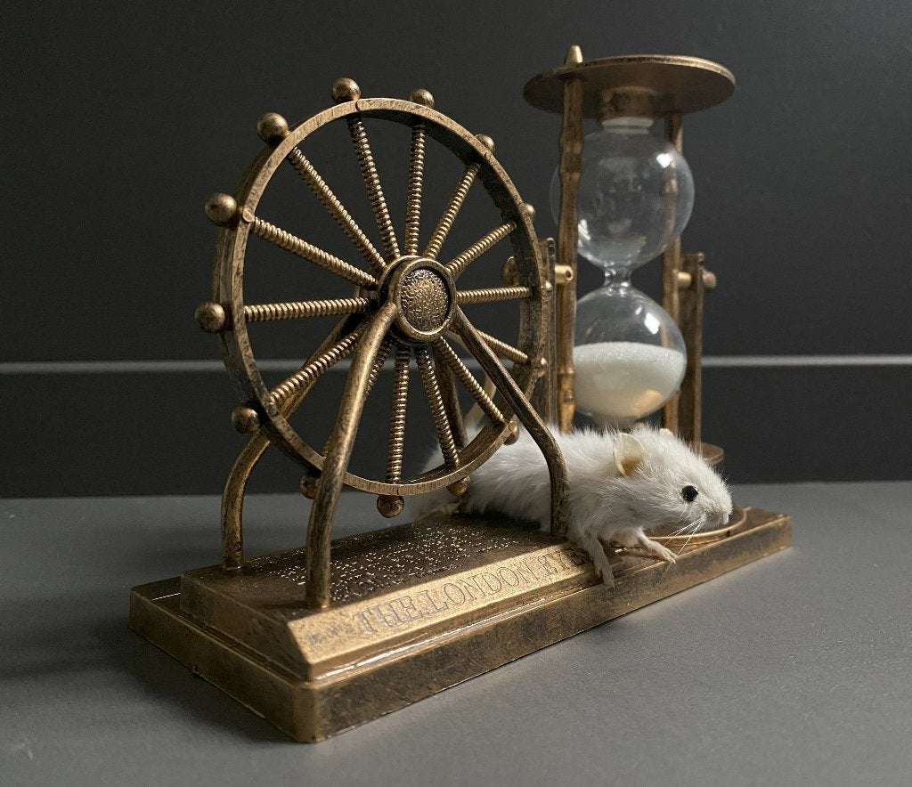 Londen taxidermie muis met echte zandloper - brocante, Enlèvement ou Envoi