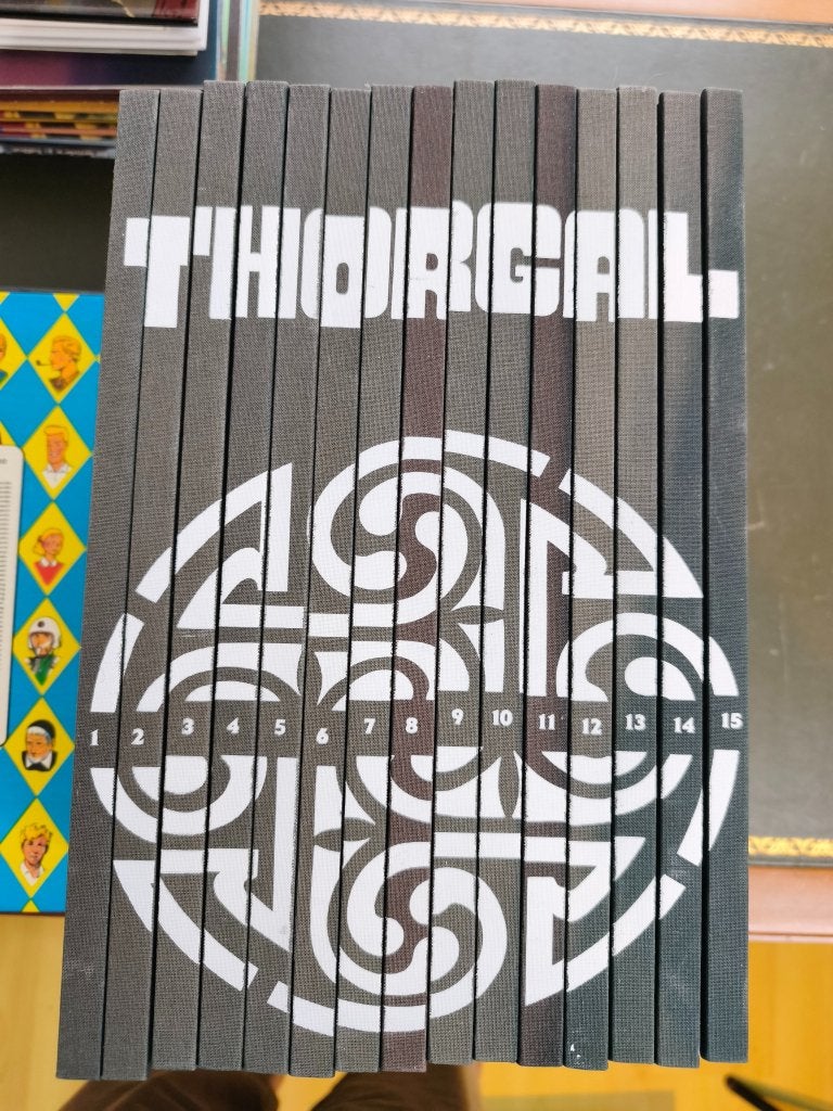 Thorgal intégrale Le Soir, 15 doubles albums dos toilé, Livres, Enlèvement ou Envoi, Utilisé