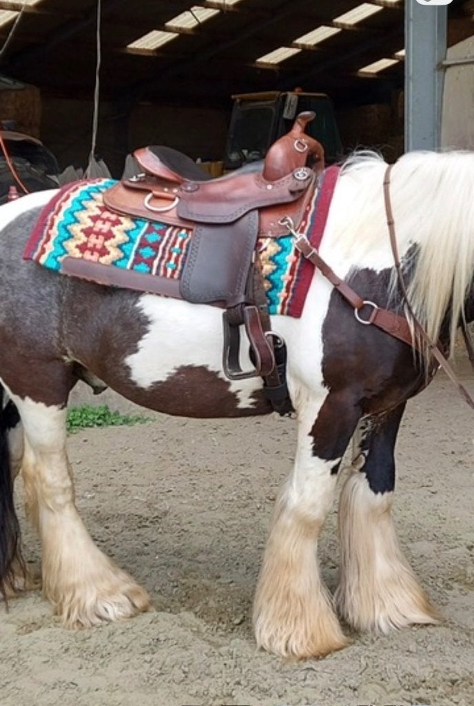 Selle western, Animaux & Accessoires, S (16 ou 16.5 pouces), Moyen, Enlèvement, Utilisé