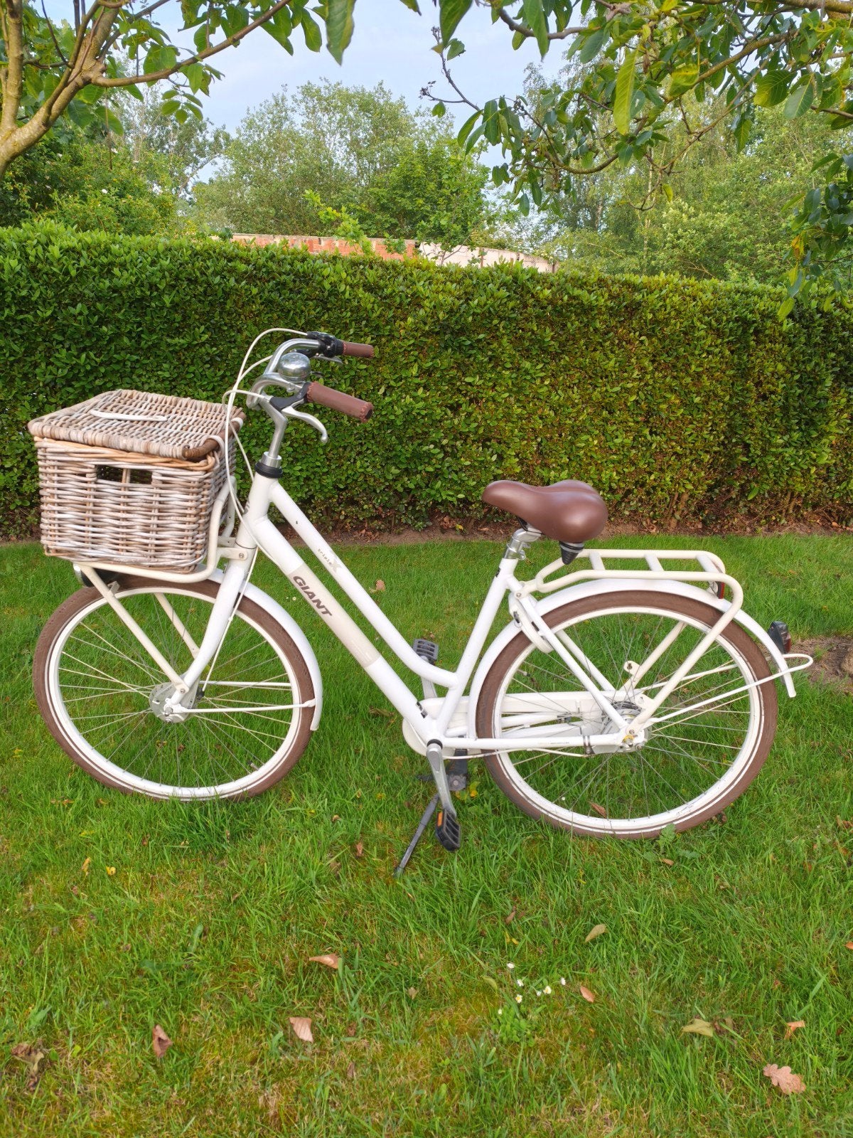 Damesfiets merk Giant, Enlèvement