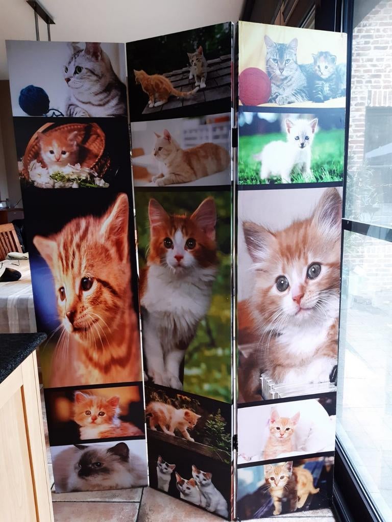 Scheidingswand (paravent) katten, Ophalen