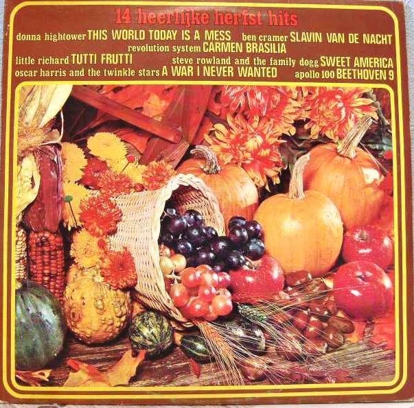 LP 14 Heerlijke Herfsthits, Enlèvement ou Envoi, Housse de protection extérieure, Comme neuf, Pop