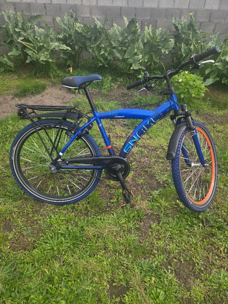 Batavus snake, Fietsen en Brommers, Ophalen, 26 inch of meer, BATAVUS