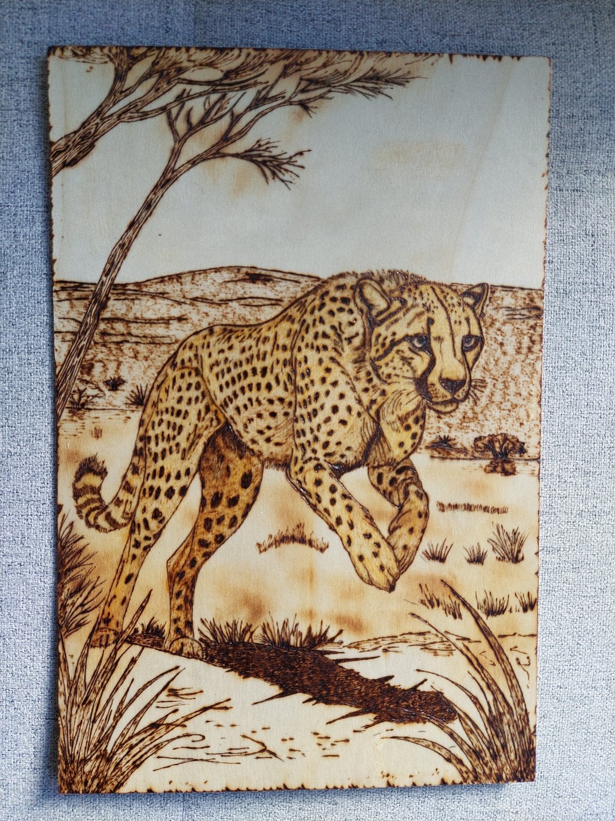 Cheetah (pyrografie), Ophalen of Verzenden