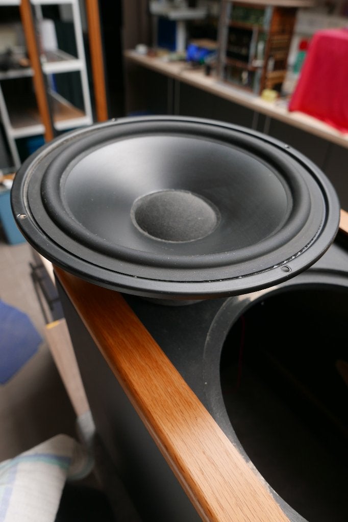 Martin Logan SL-3 en Synthese-1, Ophalen of Verzenden, Gebruikt
