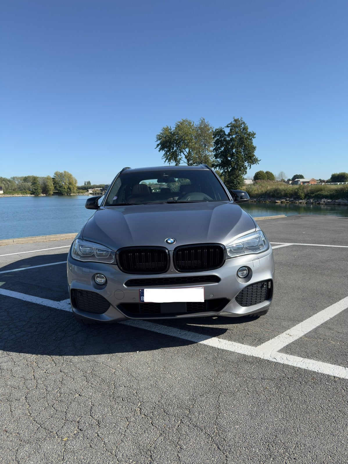 BMW X5 40e M Sport Individual | 313pk | Pano | HUD | HK, Automaat, 4 cilinders, Leder, Bruin