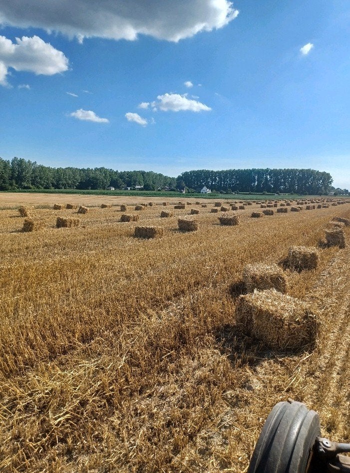 Hooi en stro in kleine balen, Ophalen