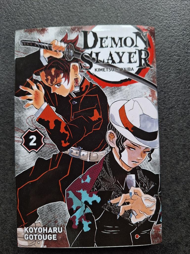 Manga - demon slayer 2  - Kimetsu no Yaiba, Koyoharu Gotouge, Zo goed als nieuw, Japan (Manga), Ophalen