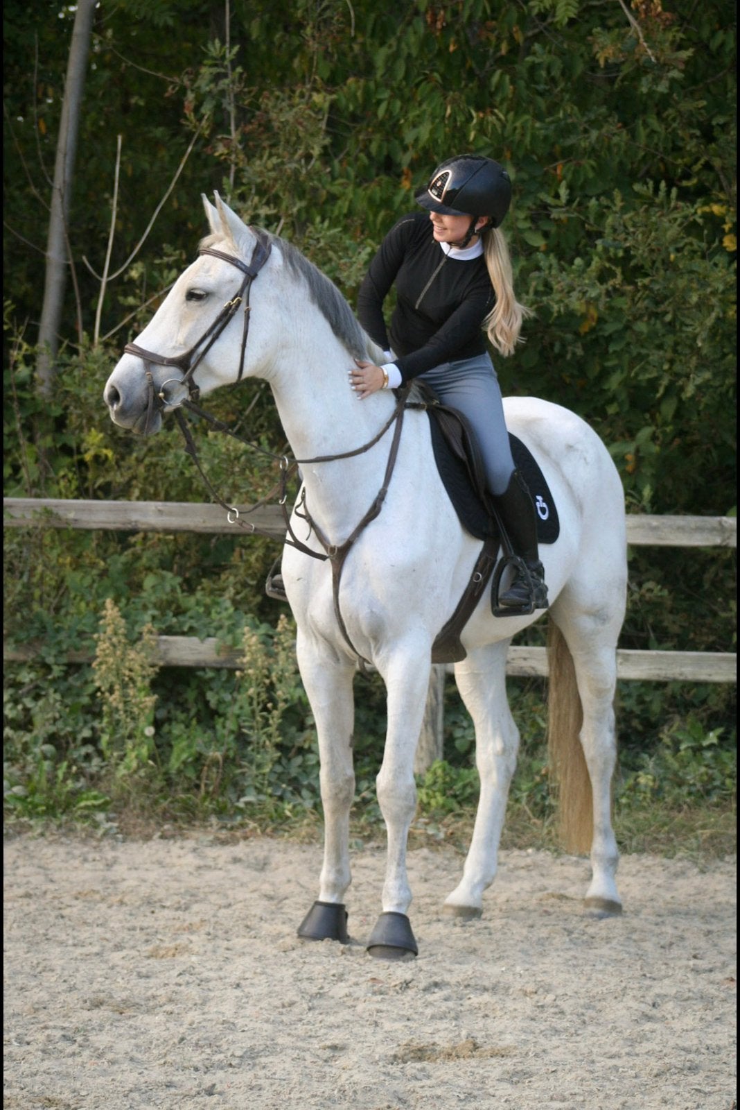Cheval de saut à vendre, 11 ans ou plus, Avec pedigree, Ne s'applique pas, Cheval de saut