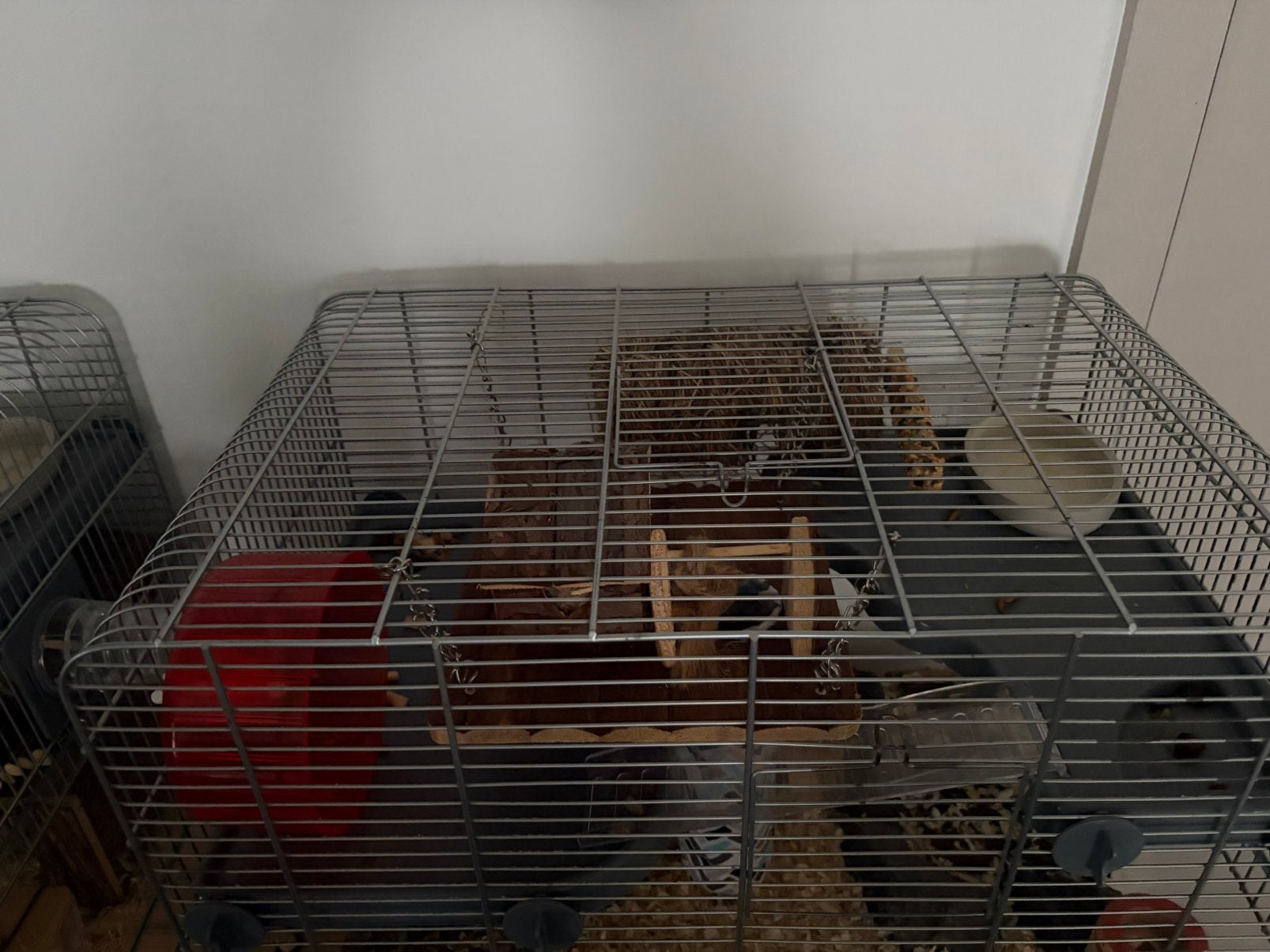 2 cages à hamsters avec accessoires, Enlèvement, Comme neuf