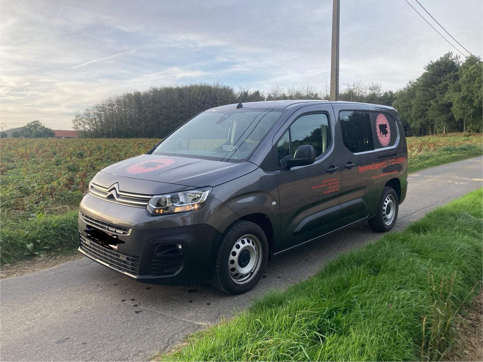 Citroen berlingo dubbele cabine, Argent ou Gris, Achat, Capteur de lumière, Euro 6