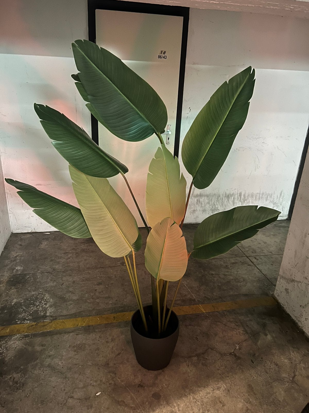 Grote Kunstplant, Huis en Inrichting, Kamerplanten, Ophalen, In pot, 150 tot 200 cm