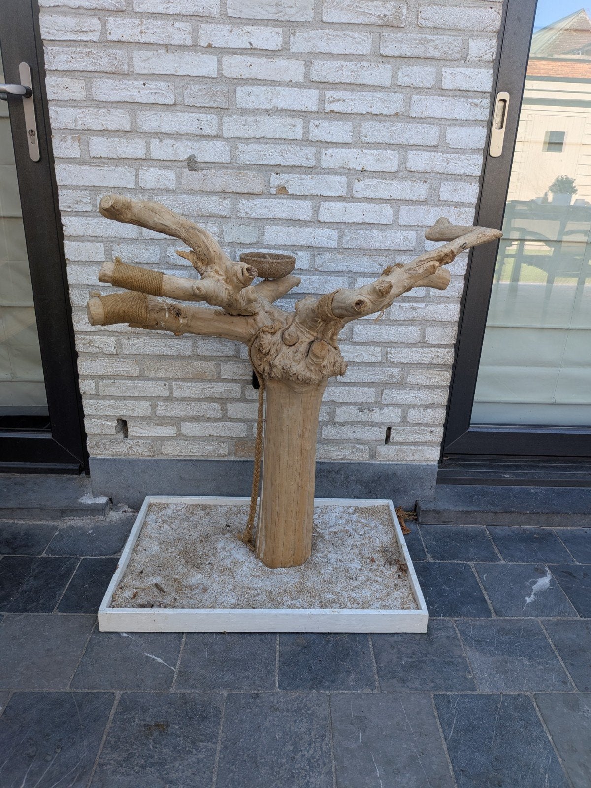 javaboom, Dieren en Toebehoren, Ophalen of Verzenden