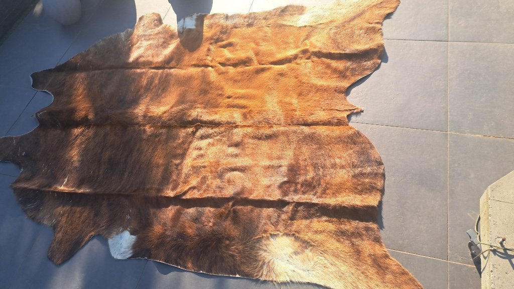 Cuir de vachette, 200 cm ou plus, Beige, 150 à 200 cm, Enlèvement