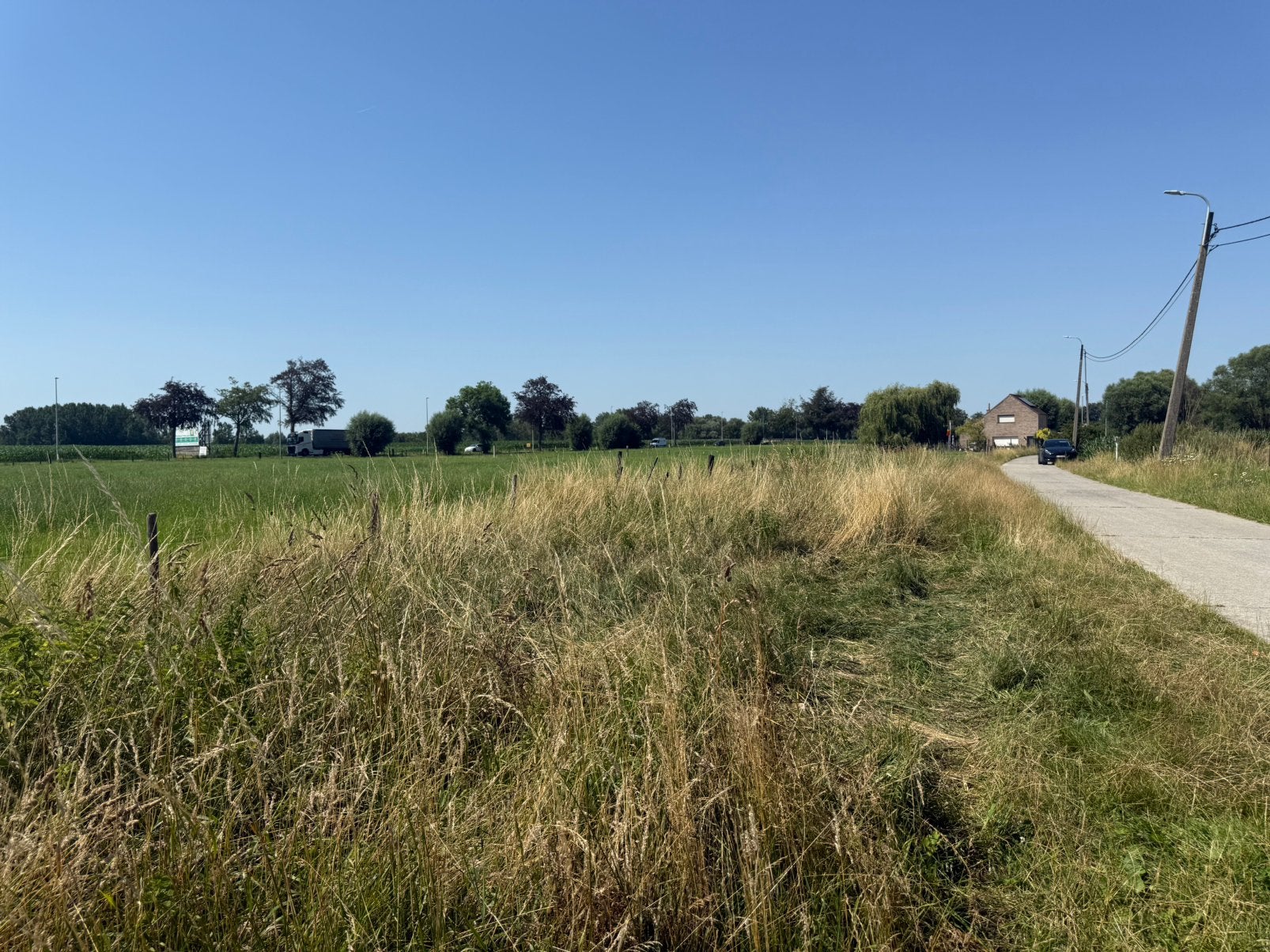 Weide in Dendermonde, Weidegang, 2 of 3 paarden of pony's