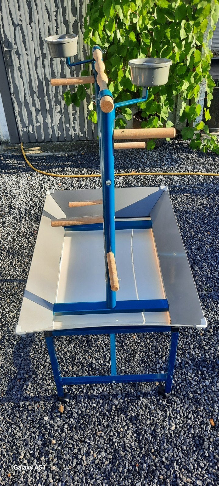 Speel en eetstand voor parkiet en papegaai., Papegaai