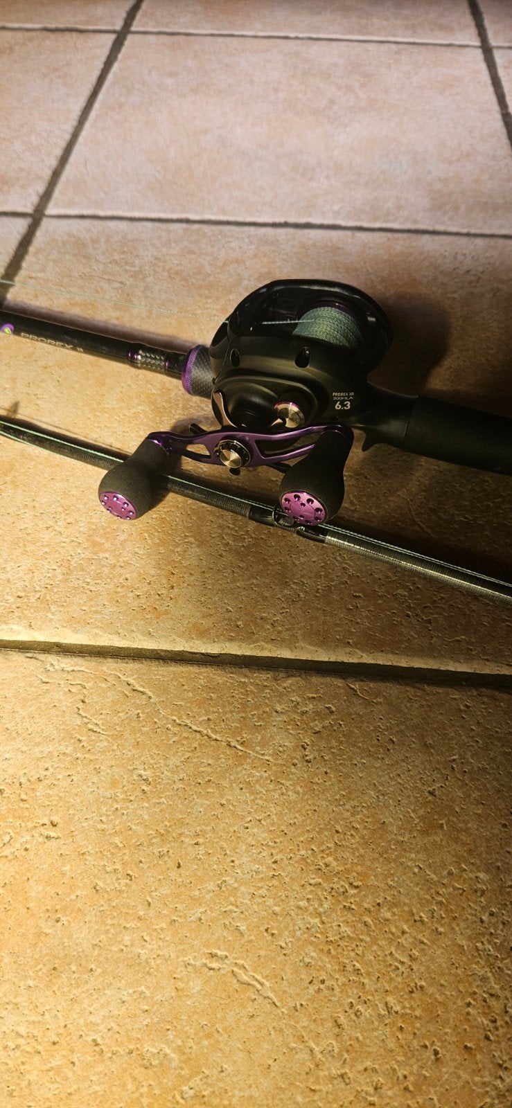 Canne baitcasting et moulinet prorex, Watersport en Boten, Hengelsport | Roofvissen, Molen, Ophalen