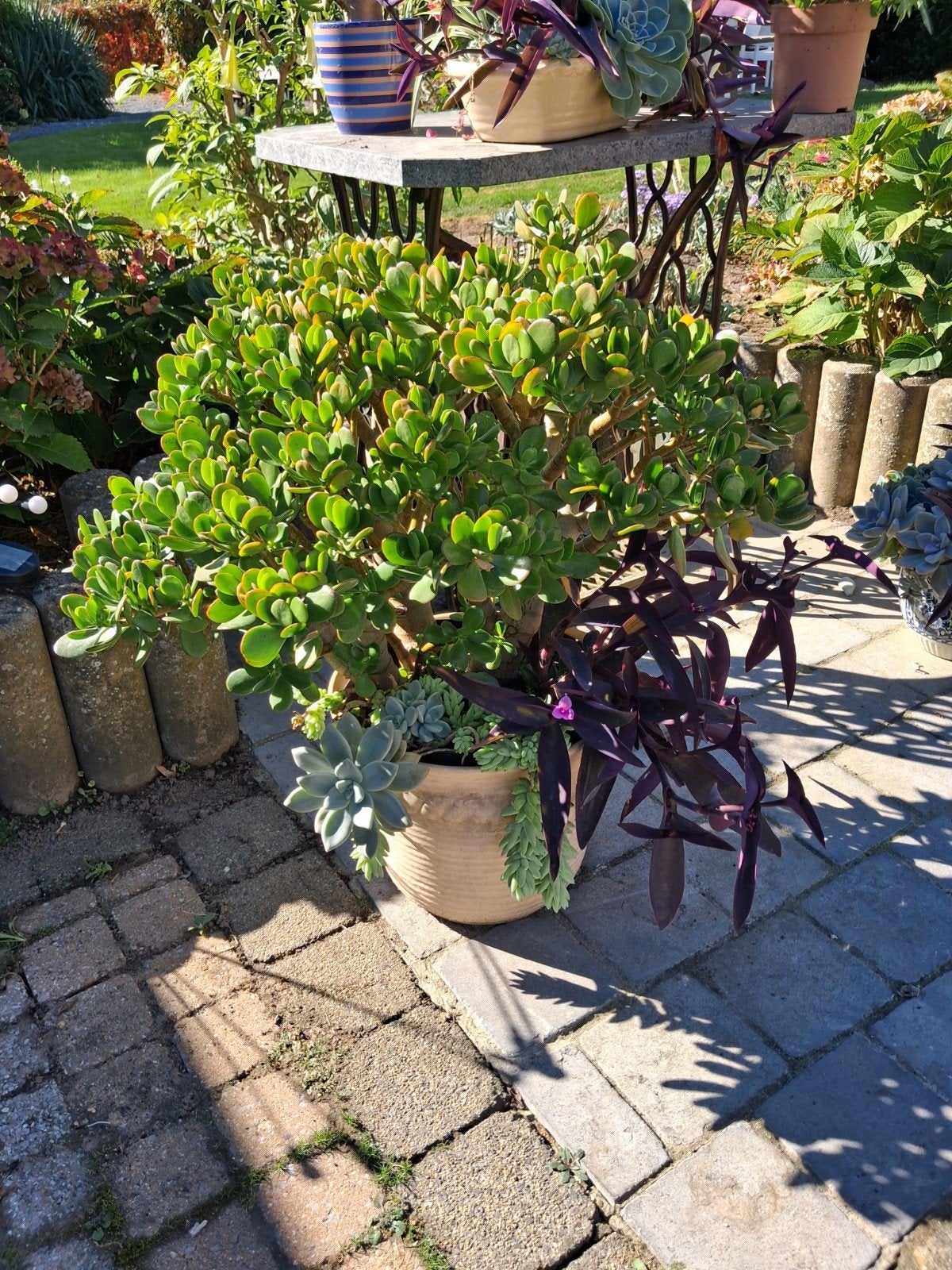 planten en bloemen, Ophalen
