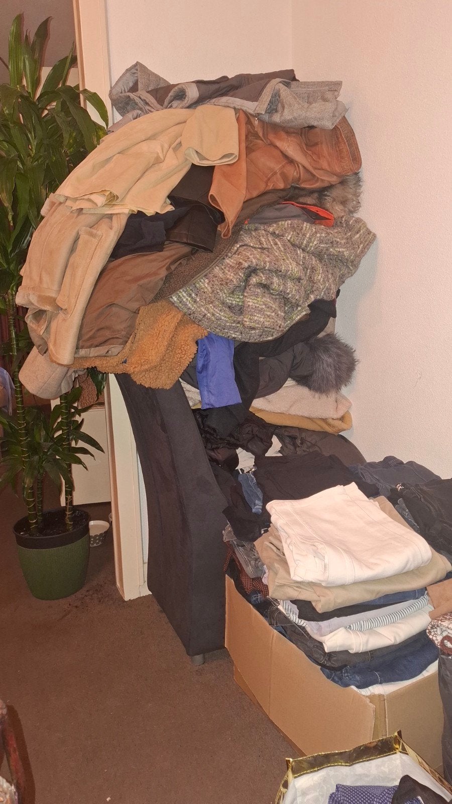 Verschillende heren en dames jassen 50 stuks 75euro, Ophalen of Verzenden