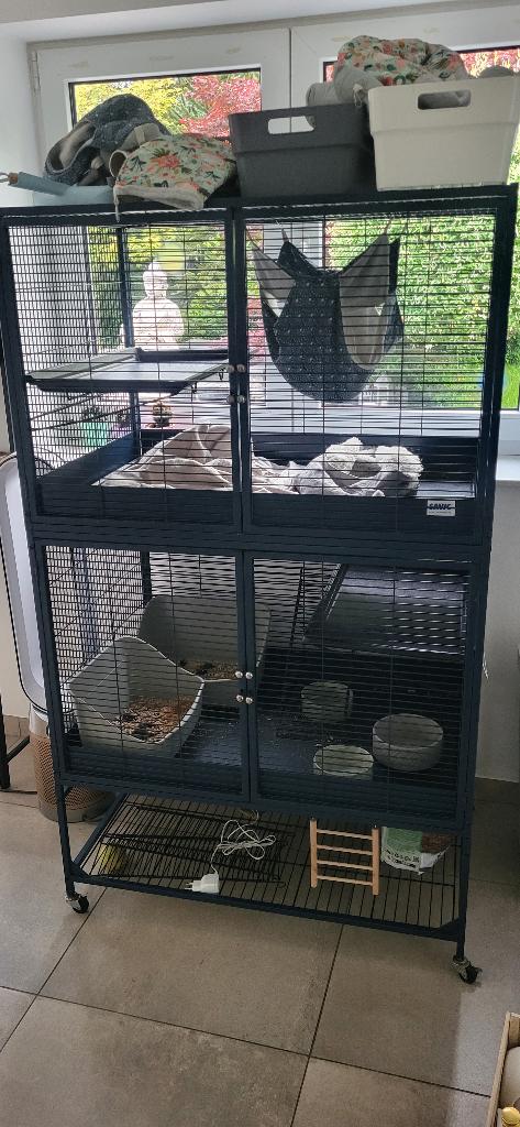 Cage savic royale, Animaux & Accessoires, 90 cm ou plus, Cage, Enlèvement, Utilisé