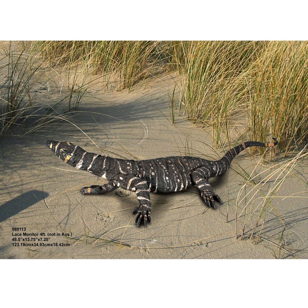 Lace Monitor 4ft – Lizzard beeld Lengte 122 cm, Ophalen, Nieuw