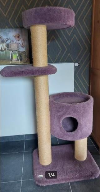 kattenkrabpaal van Robusta, Enlèvement, Griffoir
