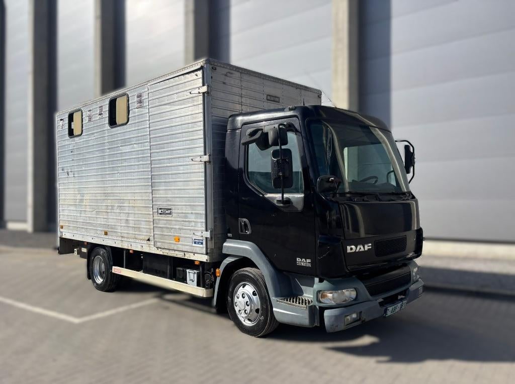Transporteur de chevaux - DAF LF 45.180, Enlèvement, Utilisé, Autres matériaux, Autres types