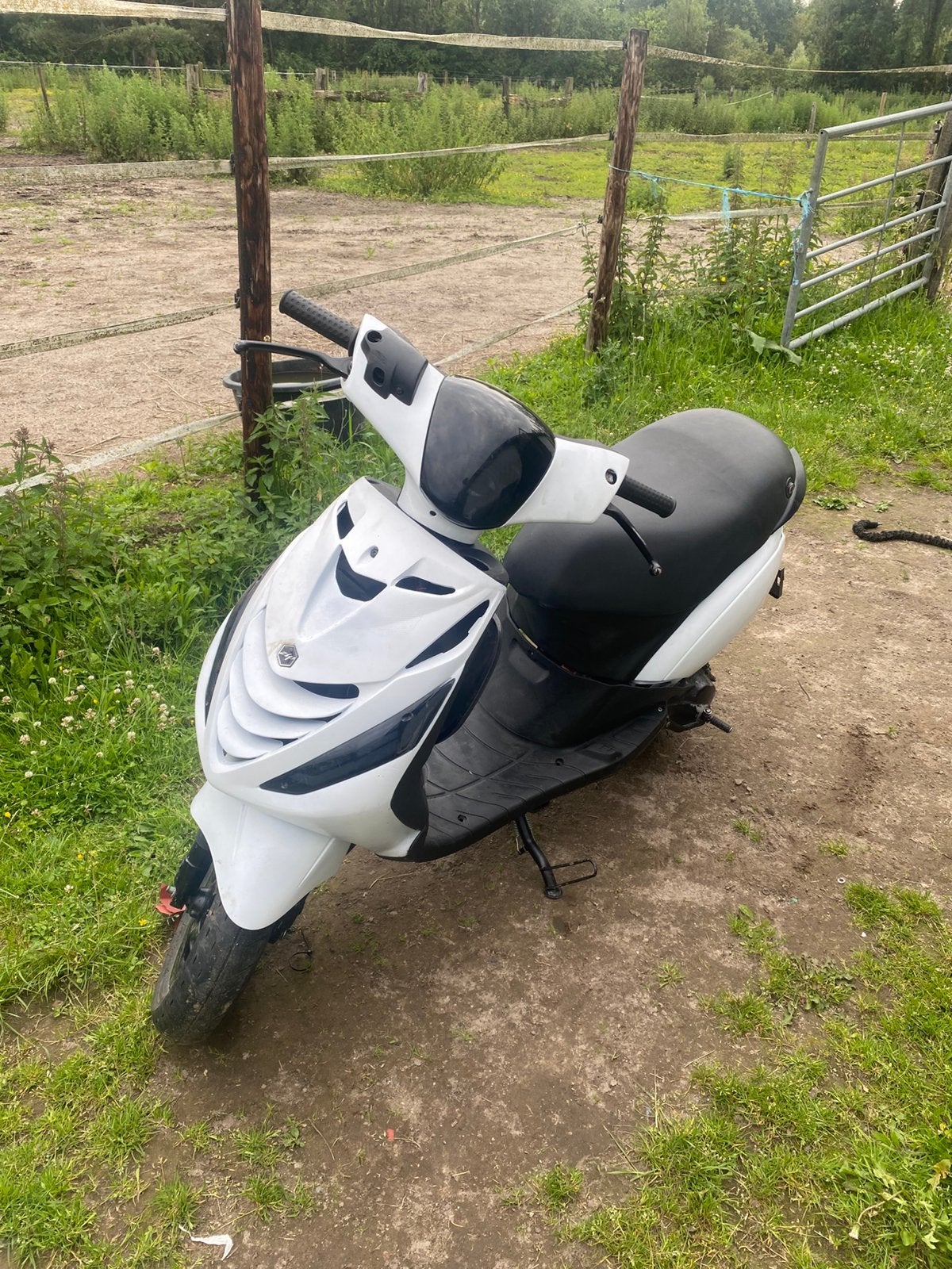 Piaggio zip, Ophalen, Tweetakt, Gebruikt, Klasse B (45 km/u)
