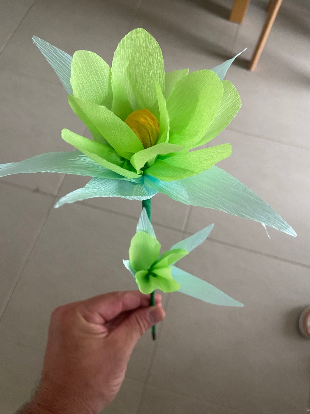 Strandbloem crepe, Ophalen