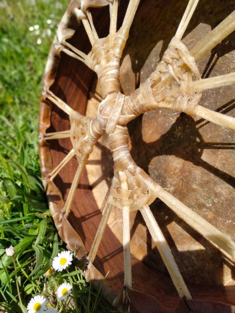 Tambour chamanique 35cm cheval, Ophalen, Nieuw, Trommel