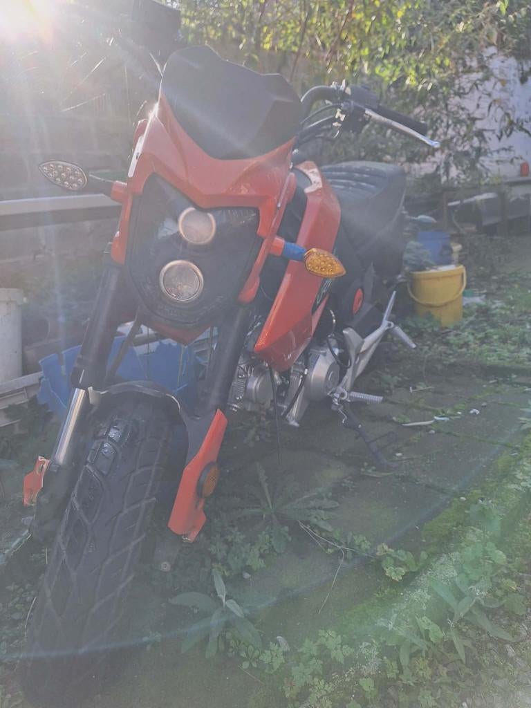 Motrac m2 a klasse (project), Enlèvement