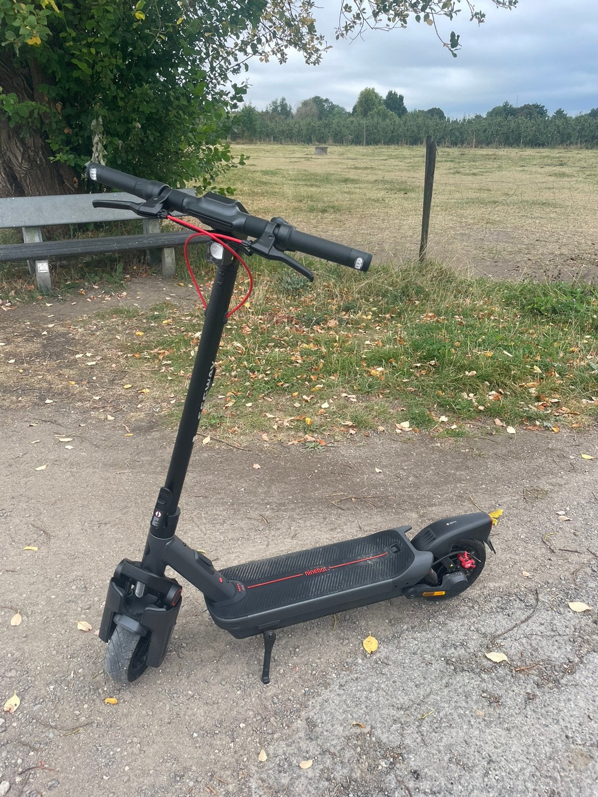 En échange d'autres scooters ou cyclomoteurs, Vélos & Vélomoteurs, Trottinettes, Enlèvement, Utilisé, Step électrique (E-scooter)