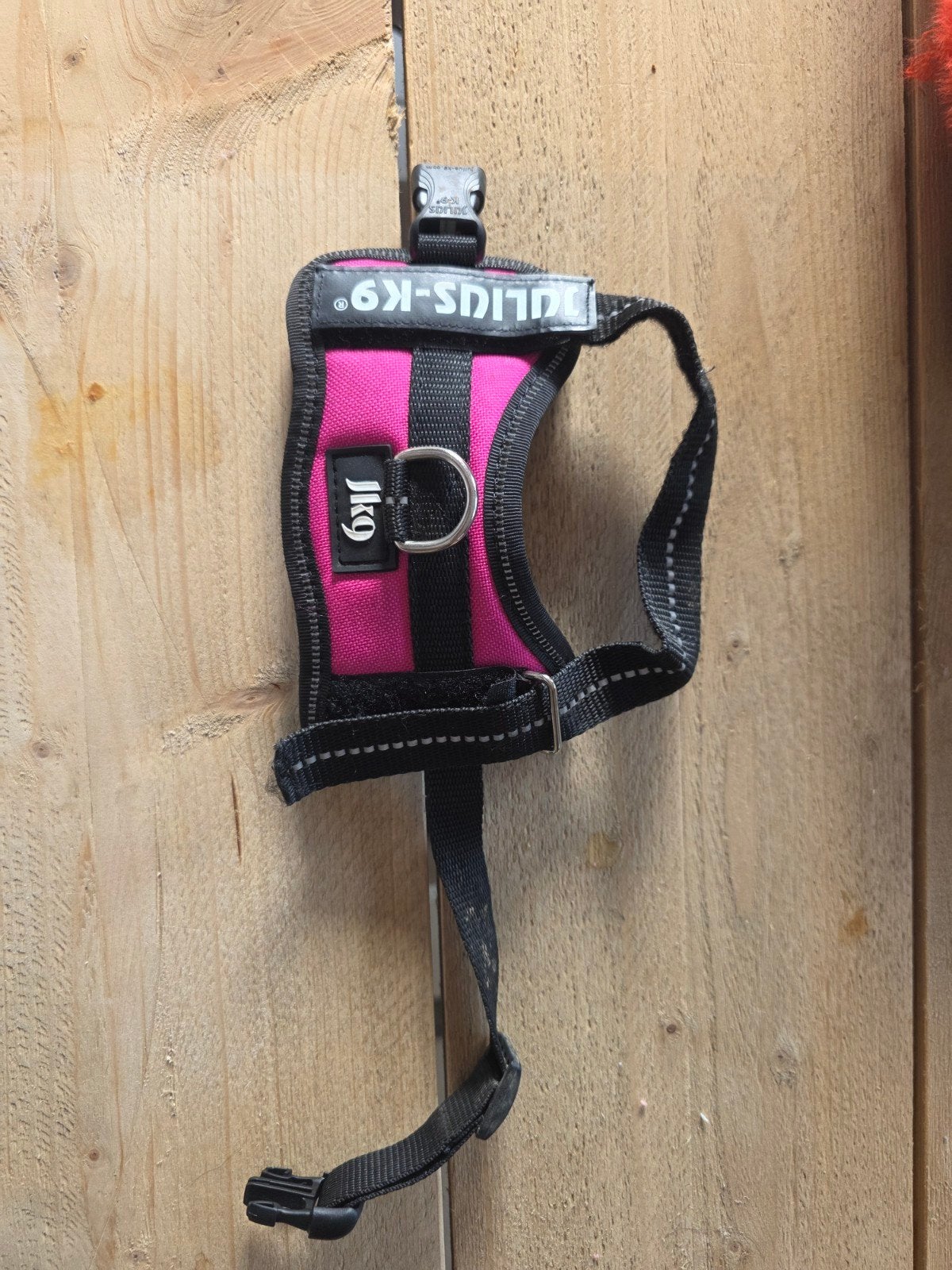 harnais pour chien (petits chiens), Enlèvement, Neuf, Accessoires pour laisse pour chien