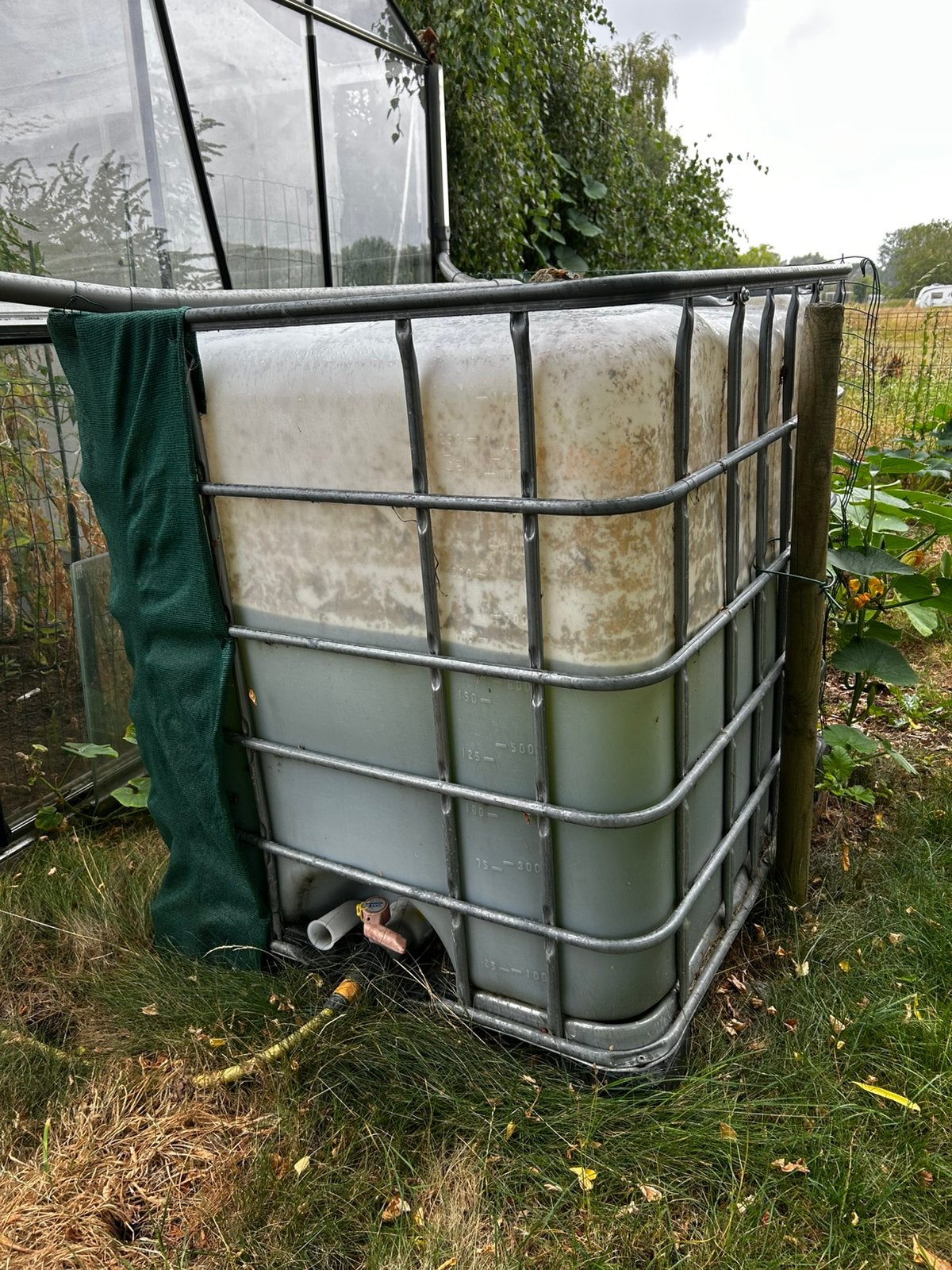 IBC waterton, regenton, regenvat 1000l met kraan, Tuin en Terras, Ophalen, Kunststof, Gebruikt, Met kraantje
