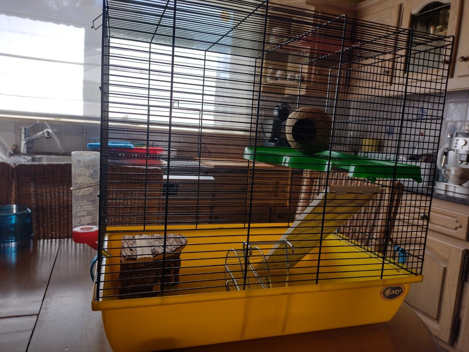 hamsterkooi, Ophalen