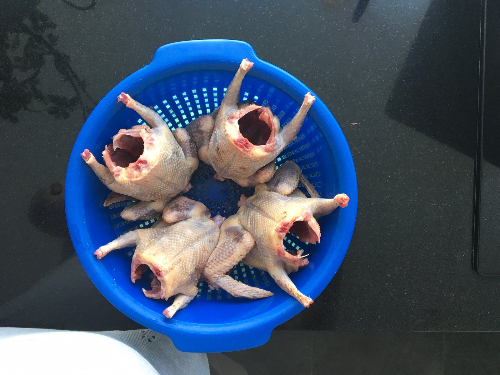 Geslachte jonge duiven, Dieren en Toebehoren, Vogels | Duiven