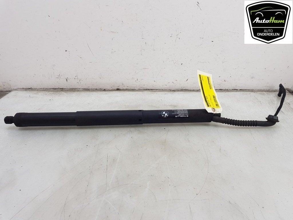MOTEUR DE HAYON BMW X5 (F15) (|51247294469|7294469|), Utilisé, BMW, Haillon arrière