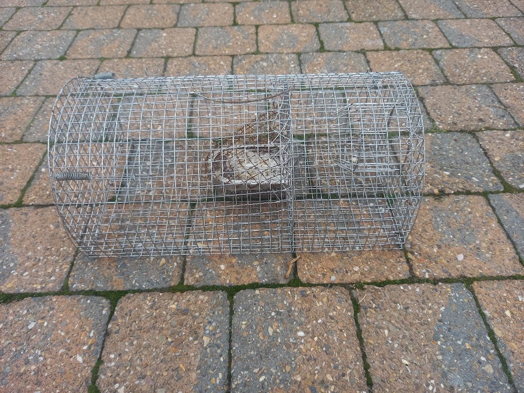 rattenval val ratten, Tuin en Terras, Bestrijdingsmiddelen, Ophalen, Gebruikt, Ongediertebestrijding
