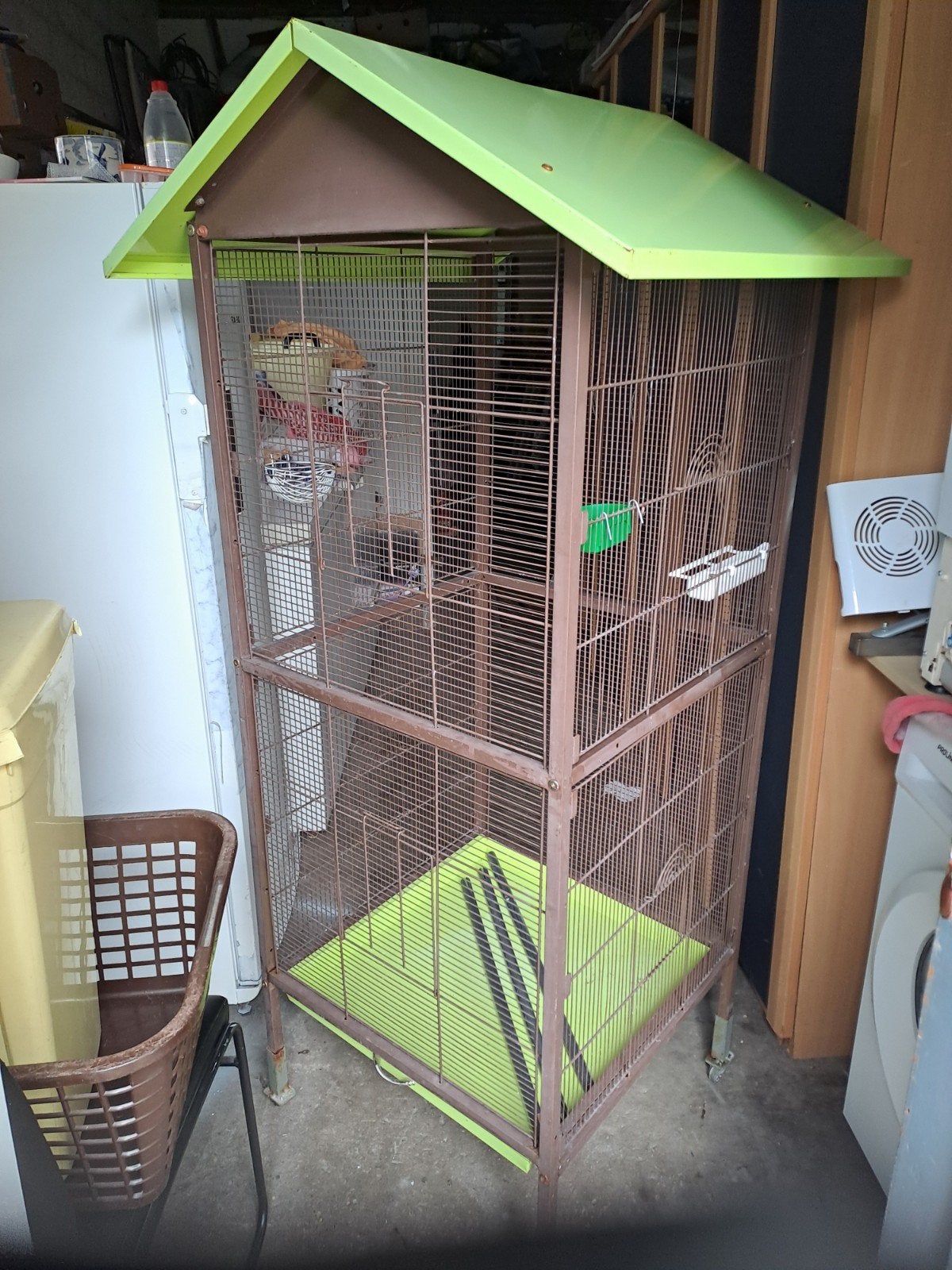 Je reprend vos surplus de canaris, Animaux & Accessoires