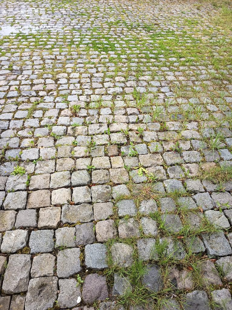 gratis 50 m² kasseien, Tuin en Terras, Tegels en Klinkers, Ophalen, Gebruikt, Natuursteen, Overige typen