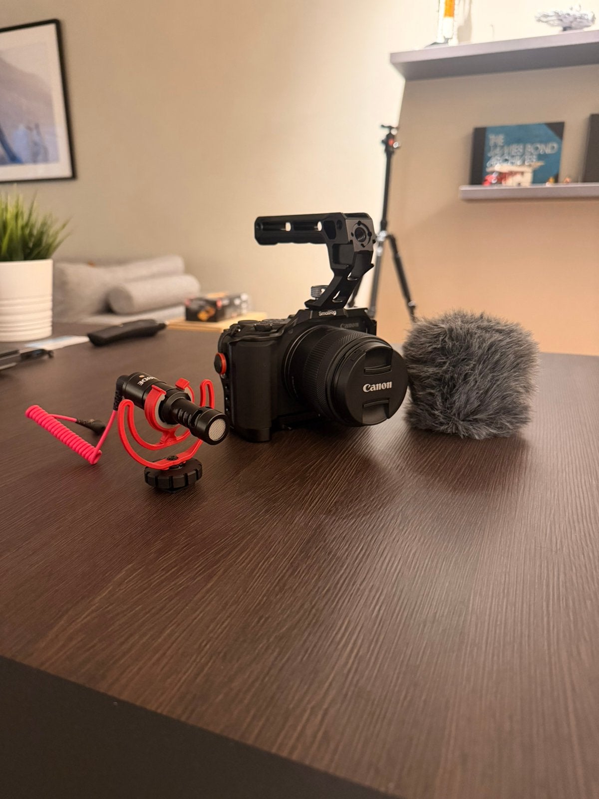 Canon R50v kit met lens cage + grip + microfoon + sd kaart, Audio, Tv en Foto, Fotocamera's Digitaal, Ophalen, Canon, Zo goed als nieuw