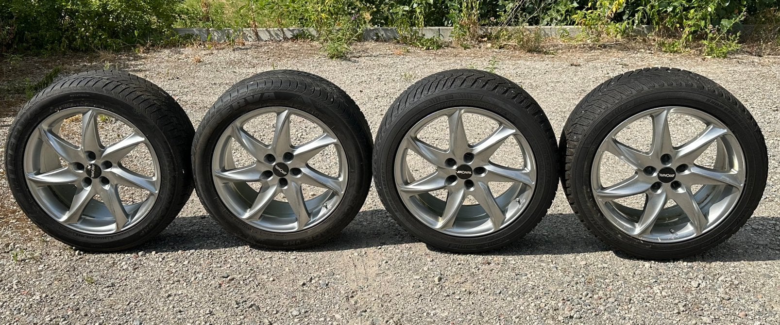 Mooie Tesla velgen met banden en zeer goede staat, Auto-onderdelen, Banden en Velgen, Ophalen, 255 mm, Banden en Velgen, Nieuw
